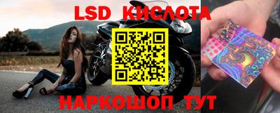гашик Кохма