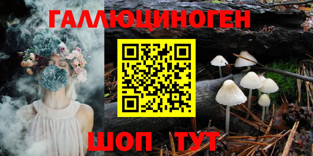 купить закладку  Вход с VPN  Галлюциногенные грибы Psilocybe  Скопин  Галлюциногенные грибы MAGIC MUSHROOMS 